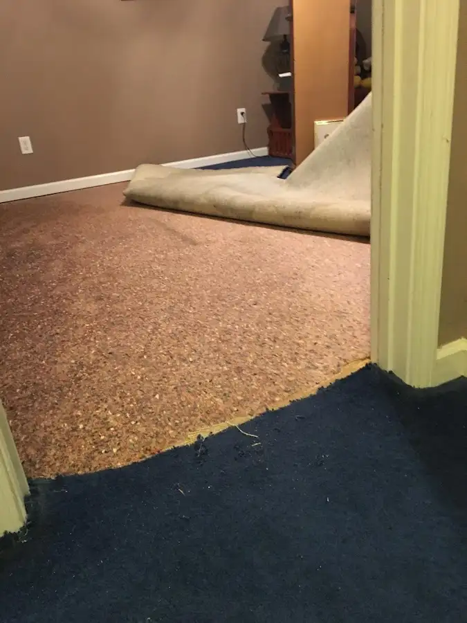 Carpet pad removal revealing water damage during Water Mitigation Services in Moundsville