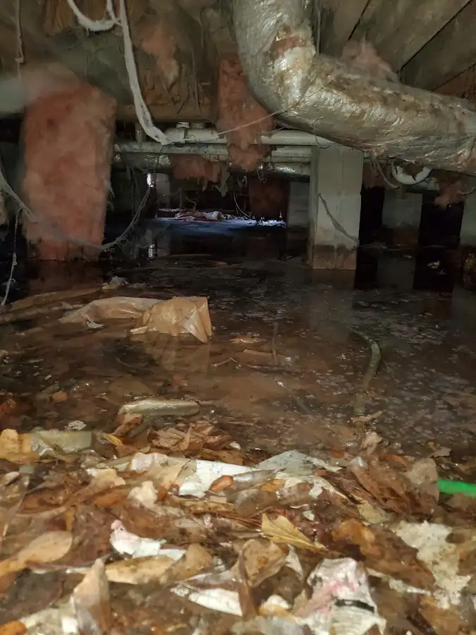 Crawl space flood assessment for Leak Detection & Repair in Moundsville